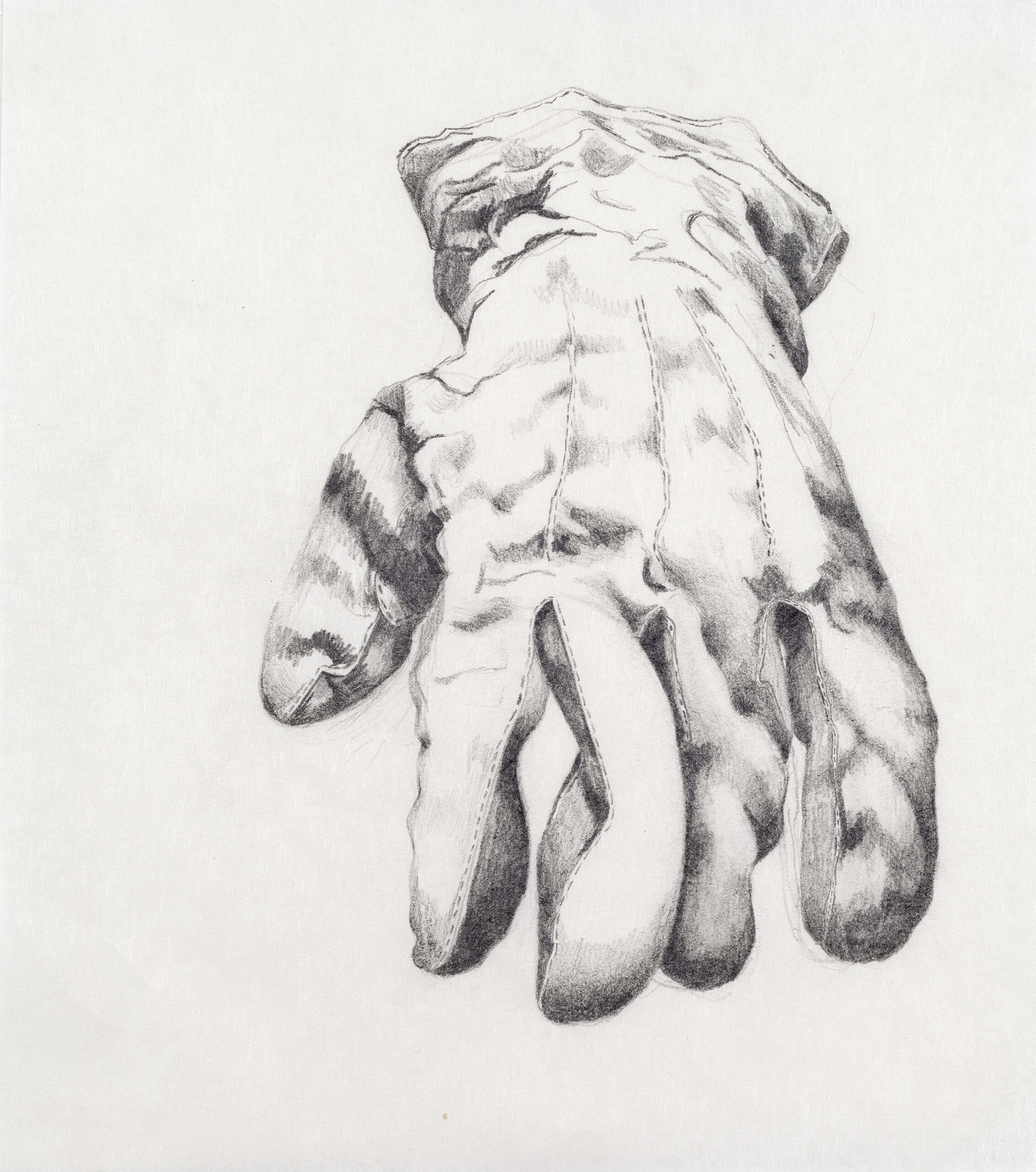 Detail 2: Rat glove from Memory Box from Memory graphite on paper 153 x 122 cm, 2012