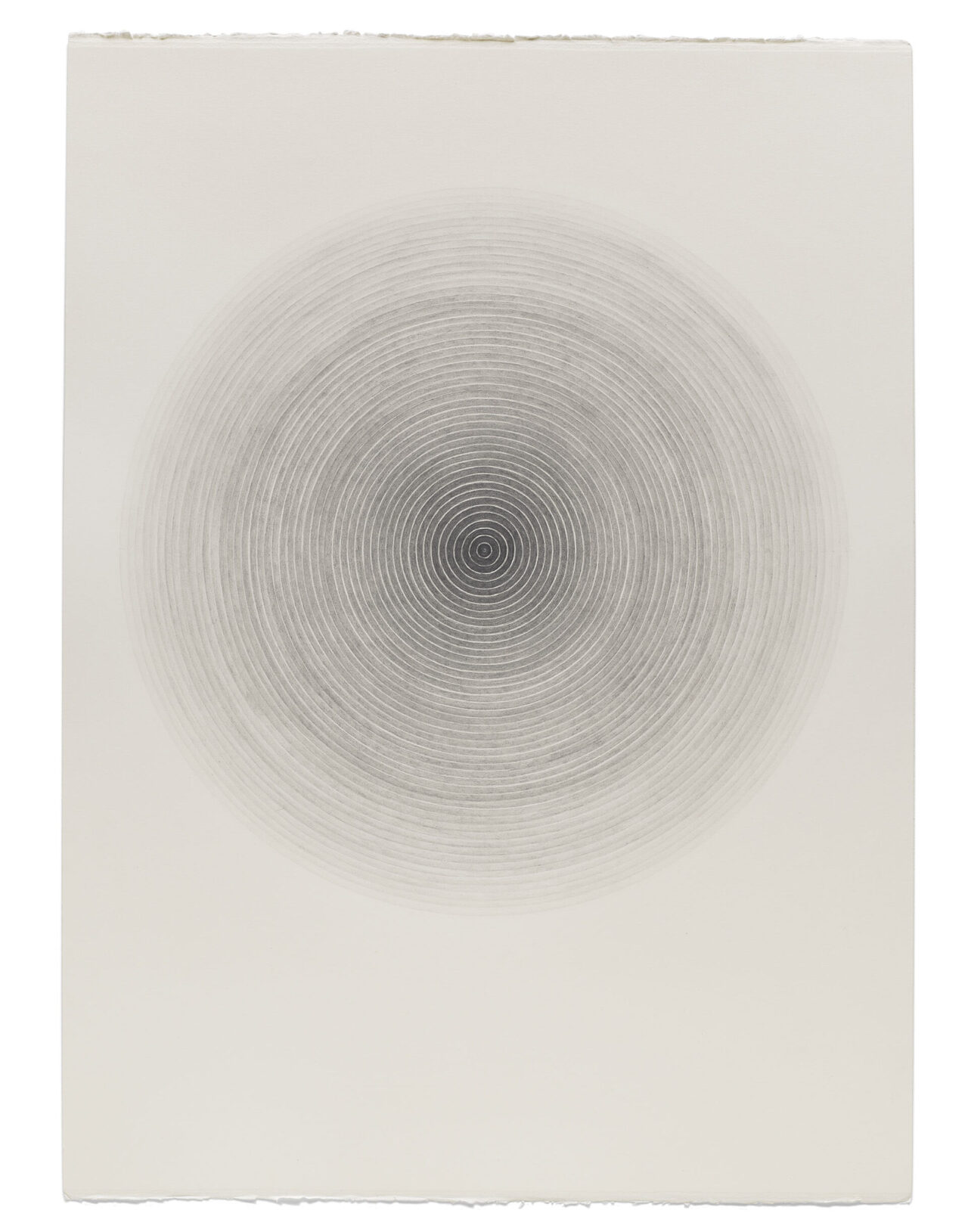 Untitled 13, graphite on paper, 77 x 56cm, 2021