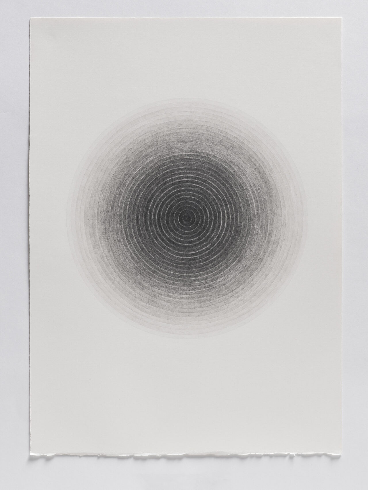 Untitled 43, graphite on paper, 50 x 35 cm, 2022