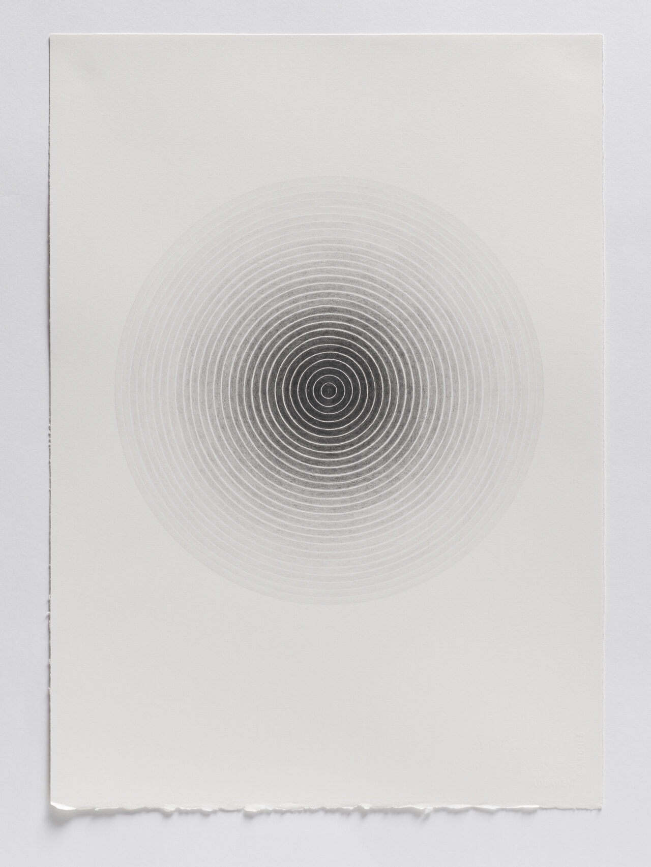 Untitled 48, graphite on paper 50 x 35 cm 2022