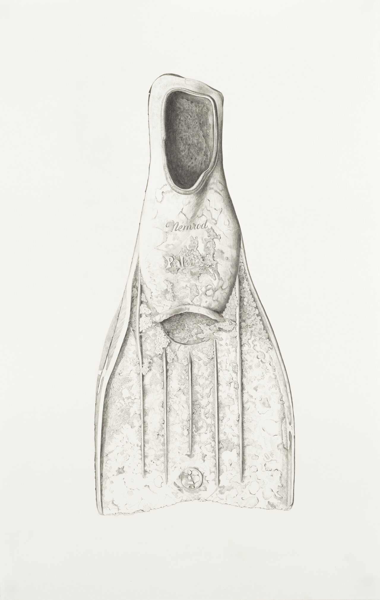 Flipper iii, graphite on paper, 45 x 55 cm, 2015