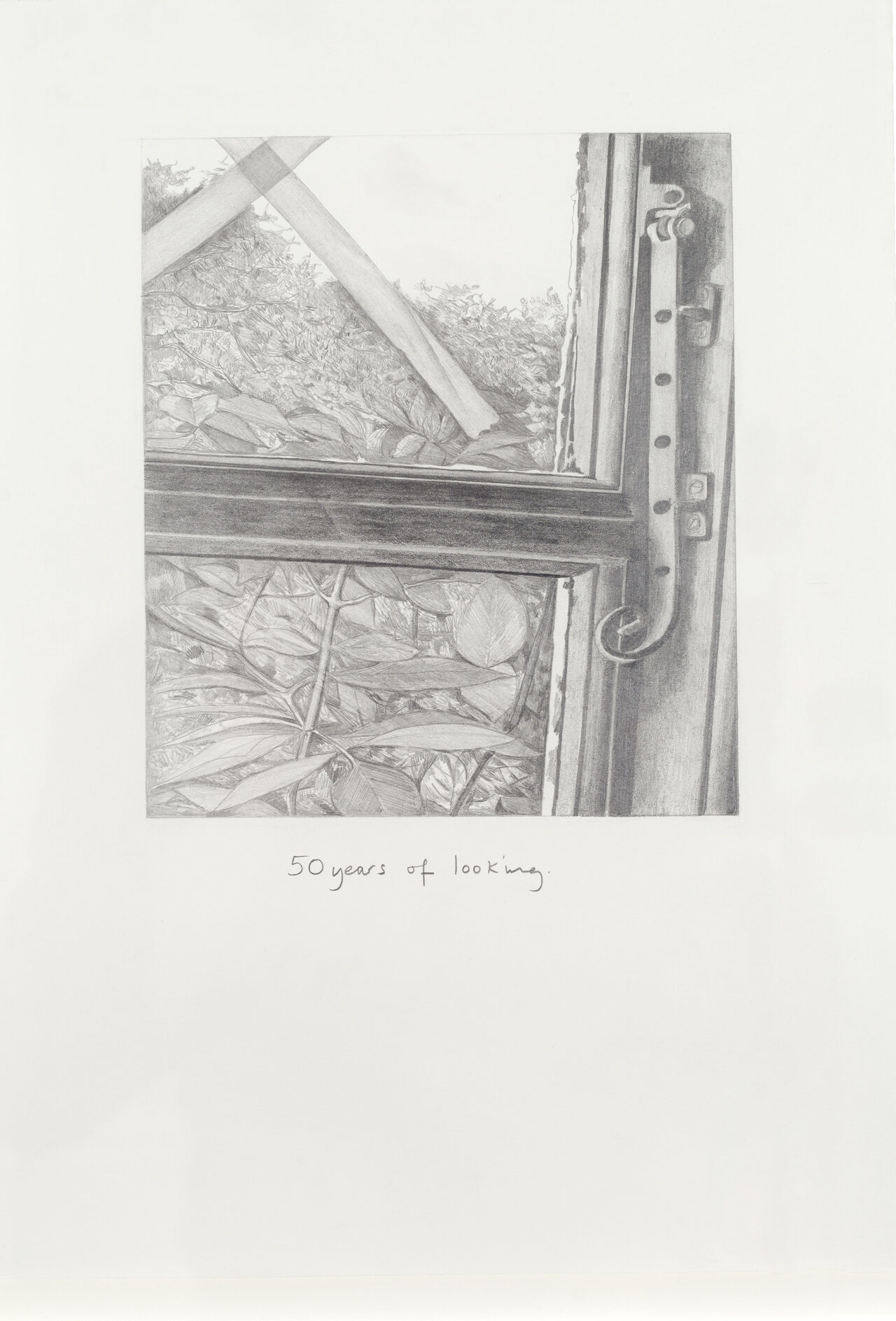 His Trace 10, graphite on paper, 40 x 31 cm, 2015