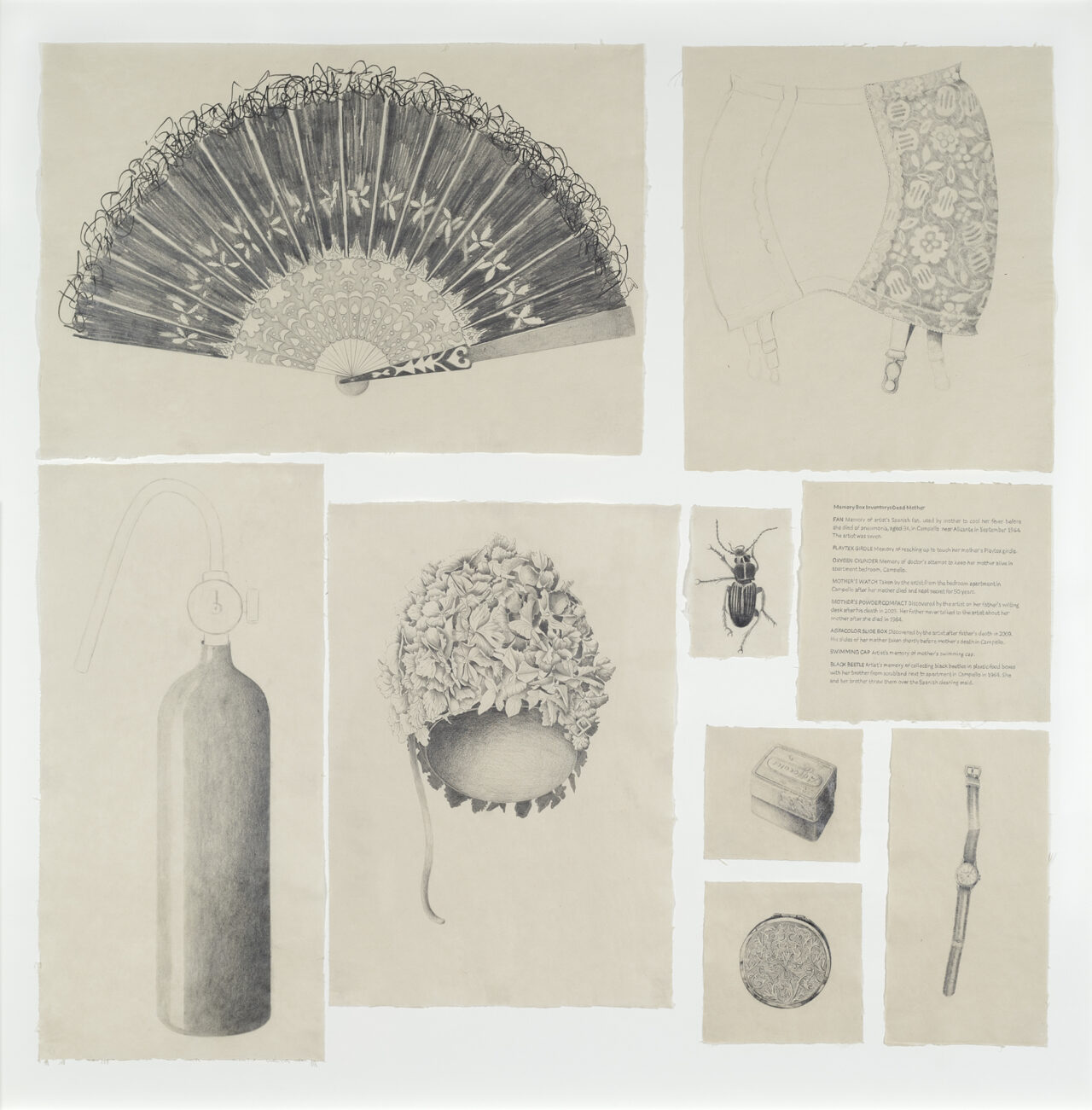 Memory Box Dead Mother graphite on paper 80 x 74cm 2014